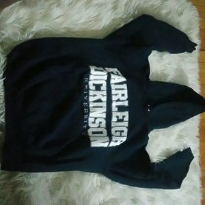 Fairleigh Dickinson Hoodie Sweater